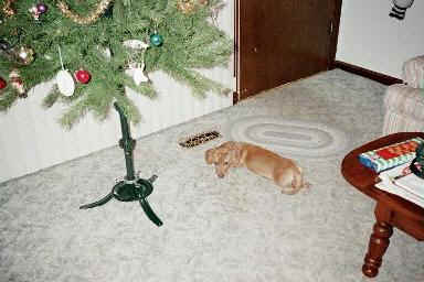 bnc25.jpg (13558 bytes)