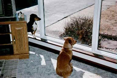 bnc30.jpg (16213 bytes)