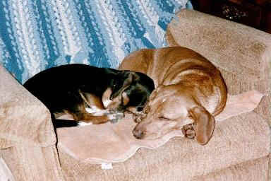 bnc5a.jpg (15164 bytes)