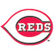 Cinnicinati Reds Spring Training, Ed Smith Stadium, Sarasota, FL 