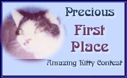Precious Won FIRST PLACE @ the Amazing Kitty Contest from Runtell!