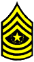 Command Sergeant Major