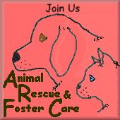 Animal Rescue & Foster Care Webring