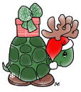 christmas turtle