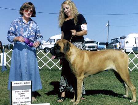 daisy.jpg (23334 bytes)