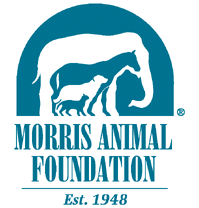 morrislogo.gif (10838 bytes)