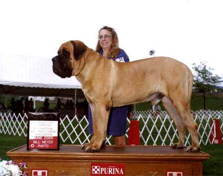 mugsinternational.jpg (21385 bytes)