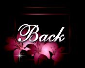 blacklilybackbut.jpg - 5170 Bytes