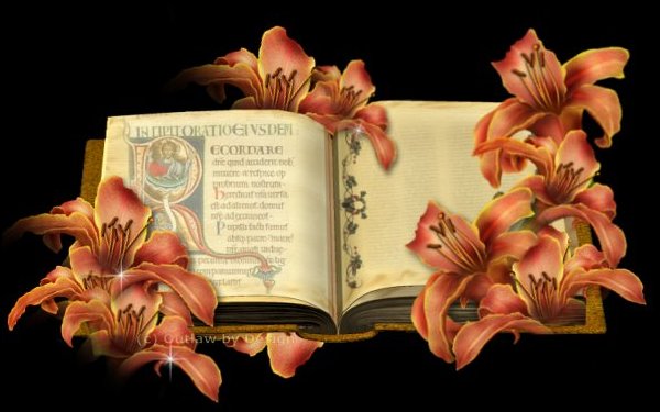 olhead.jpg - 43447 Bytes