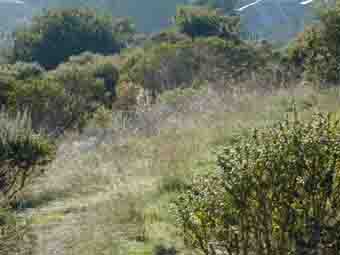 a house made by houseproud owners