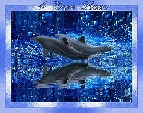 4everlovepic.jpg(155648 bytes)