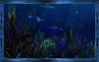 dolphinbubblebutton.jpg (155648 bytes)