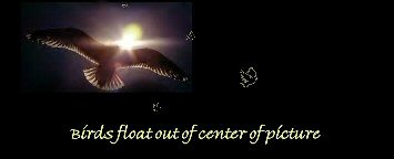 goldeneagle.jpg(188034 bytes)