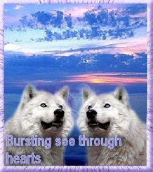 wolvesbutton.jpg(204800 bytes)