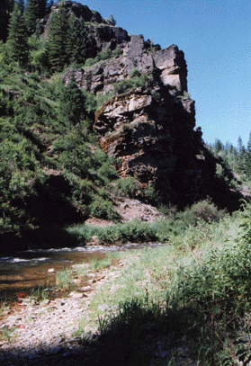 caught some nice cutthroat here