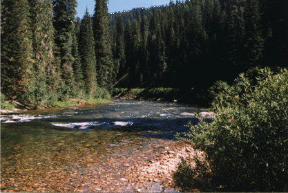 Cold water....real cold