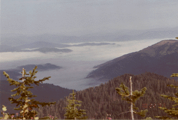 Nice hunting weather