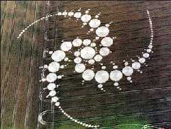 fake crop circle?