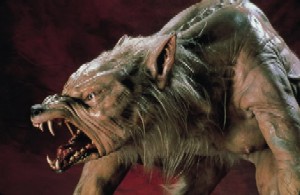 werewolf angry