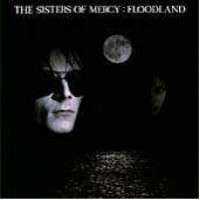 sisters of mercy