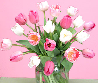 Pink Tulips - Click here to the "Dahlias page"
