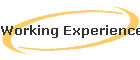 Working Experience