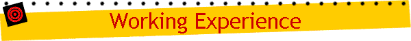 Working Experience