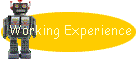 Working Experience