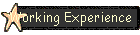 Working Experience