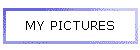 MY PICTURES