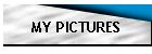 MY PICTURES