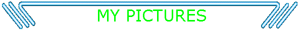 MY PICTURES