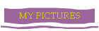 MY PICTURES