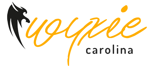 Wyxie Online Services Logo