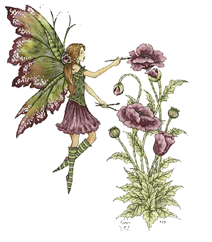 Poppy Fairy