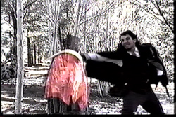 Image of dissapear.jpg