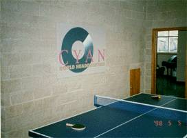 The ping-pong table