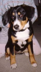 Mona von der Schnerlen