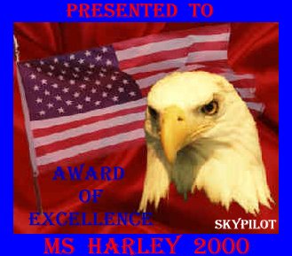 SkyPilot's Award of Excellence