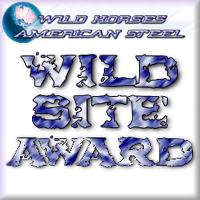 Wild Horses American Steel Wild Site Award