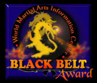 Martial Arts Bronze Award