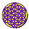 The Flower of Life