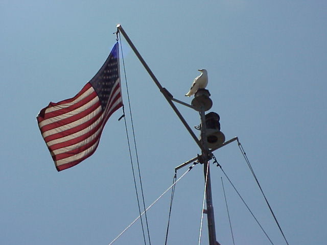 yellowlogo1.jpg (22255 bytes)