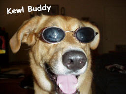 kidswbear.jpg (32264 bytes)