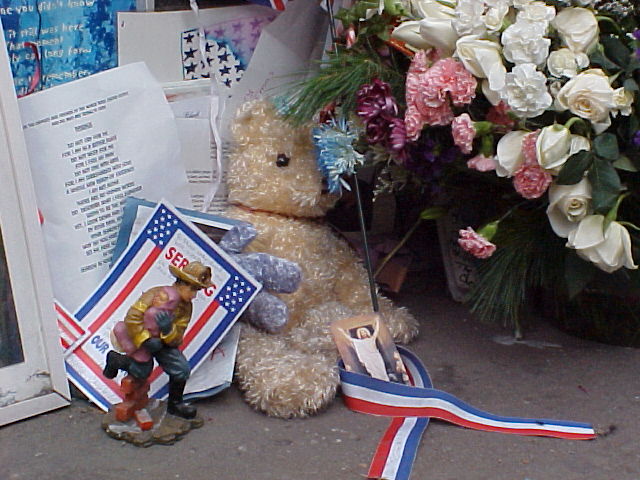 fvlogo1 Animation.gif (276639 bytes)