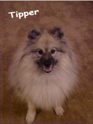 kidswbear.jpg (32264 bytes)