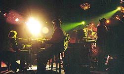 Plasticwings concert photo