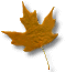 leafbrnbtn.gif