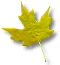 leafocrebtn.gif