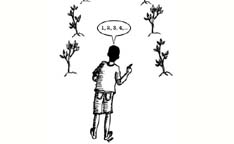 Lolo, Boy and The Orange Trees